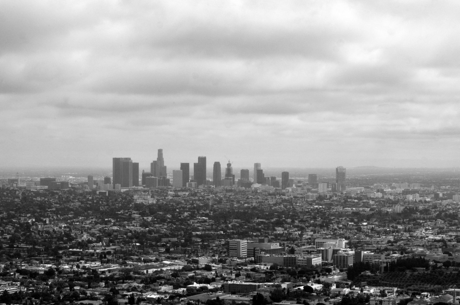 Los Angeles cityscape